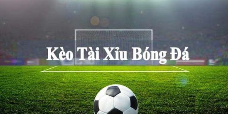 Cách soi kèo tài xỉu bóng đá không nên theo đám đông để đặt cược.