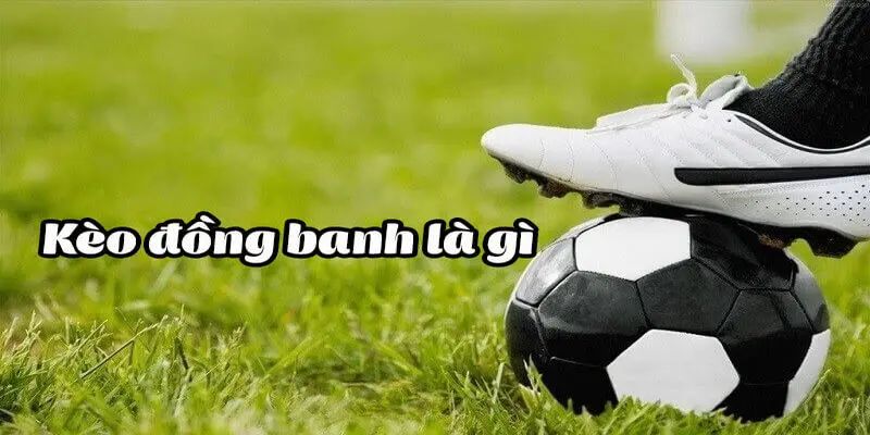 Tinh tế tham khảo thông tin ngoài lề